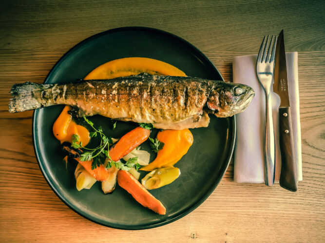 Trout: good eats from a stream near you